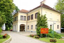 DVORAC MIHANOVIĆ, TUHELJSKE TOPLICE
