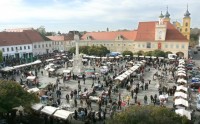 SAJAM  ANTIKVITETA – OSJEČKA TVRĐA, SVAKA PRVA SUBOTA U MJESECU