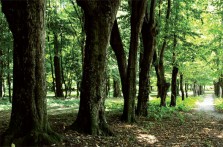 PARK U SUHOPOLJU