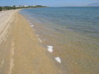 PRIRODNE PJEŠČANE PLAŽE - NIN