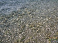 UVALA ŽULJANA, POLUOTOK PELJEŠAC