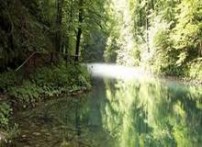 Gorski kotar i Kvarner, od svježine planina do svježine mora