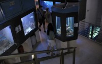 AQUARIUM CRIKVENICA