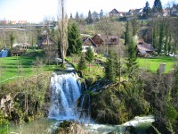 RASTOKE