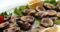 RESTORAN BADI, UMAG