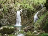 PARK PRIRODE UČKA